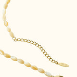Shell necklace