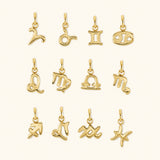Zodiac charms