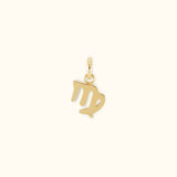 Zodiac charms